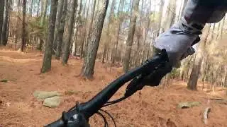 Holiday Rides - With Tim