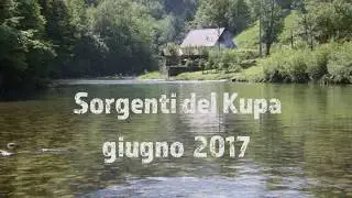 Kupa 2017