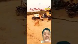 Drone Vrs Dog😆😆 #funny #comedy #shortvideo #shortsfeed #funnycomedy #comedyvideos #shorts #fun