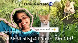 हा vlog 14 october चा आहे खुपचं लवकर टाकते ना 😁/वायफळ चर्चा 