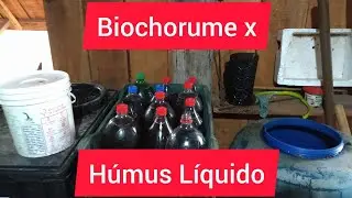 Minhocultura Conhe&ccedil;a o Biochorume e o H&uacute;mus L&iacute;quido @chacaraauto-sustentavel6368