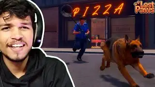 This game is Totally Crazy 🤣 | Lost Paws 🐾 