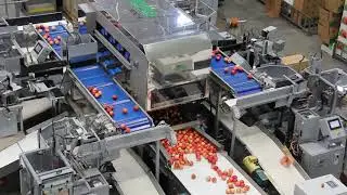 Sims Manufacturing &mdash; Automatic Pouch Bagger-apples, Pouch & Poly Baggers with Giro PDG-4FD