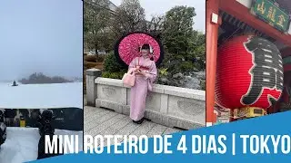 Tokyo (Japão) - Roteiro barato de quatro dias no inverno