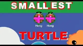 Mope.io - Smallest Animal (Turtle)
