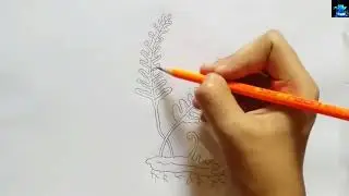Diagram of Water Fern step by step | how to draw water fern easily