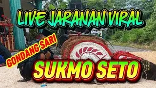 LIVE JARANAN GONDANG SARI SUKMO SETO