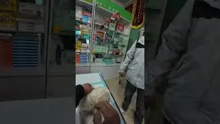 A first-person perspective view of a rural veterinarian s day#Immerse yourself in watching
