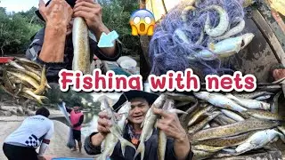 Dragging a net to catch spotted bullhead.😲