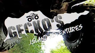 Gecko Island Adventures St. Croix U.S. Virgin Islands