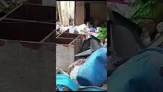 #news #mumbra #blast #viral