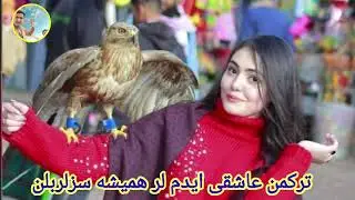 محیب الله دالی آوازنده  00905441350565