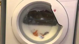Hoover Dynamic Next, One of the longest wash cycles 6/8 (Requested)