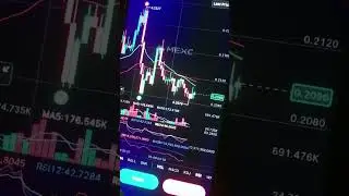 Pnut crash #pnut #crash #crypto #stock #forex #trade