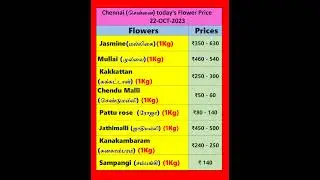 Today flowers price in Chennai | 22/10/2023 | Tamil | இன்று பூக்கள் விலை? #shorts #flowers