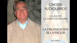 La Organizaci&oacute;n De La Psique#gnosis #esoterismo #ocultismo #hermetismo #teosofia #metafisica #aron