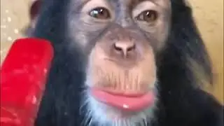 When you get brain freeze from eating a popsicle