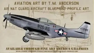 Air National Guard Warbird Profile Art