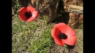 Merredin community 