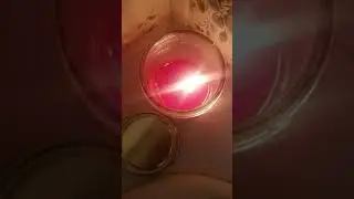 DOLLAR TREE Old Williamsburgh Strawberry Jam Moonshine candle