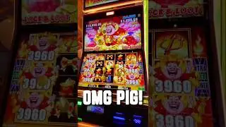 OMG! This Devilish PIG line pay had us completelyshocked!