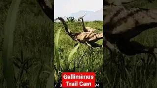 The Gallimimus is coming to The Isle in update 6.5! #theisle #evrima #Dinosaurs