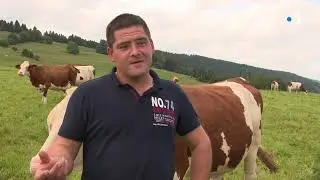 Ville-du-Pont, Haut-doubs : coup d'envoi de la saison du Mont d'or, quand la tradition a du bon !