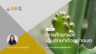 Ant 101 เรื่องมดไม่ใช่เรื่องเล็ก I EP.5 การศึกษาและเก็บรักษาตัวอย่างมด