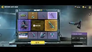 Northern lights draw