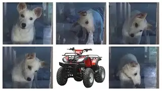 Patty Cakes VS Quad Bike