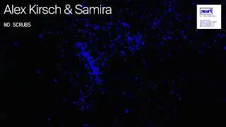 Alex Kirsch & Samira - No Scrubs (Official Visualizer)