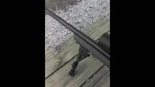 Factory Howa Hogue Stock Flex