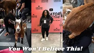 My First YouTube Creator Event Was WILD!(Goat Yoga Gone Wrong!)