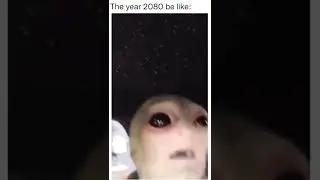 David Dobrik￼ funny ass clip