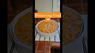 Preserving Apricots   #gardening #fruit #foodpreservation #food #growyourownfood