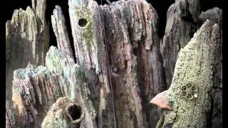 Samorost 1 in HD!