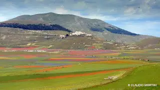 CASTELLUCCIO DI NORCIA - LA FIORITURA 2020 - 4k
