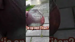 Ik Kocht de SMASHMONKEY 🐵