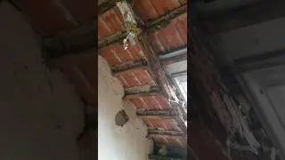 Altbau Umbau #bau #baustelle #dachstuhl #sparren