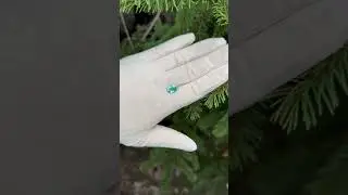 В НАЛИЧИИ! Параиба 3.35ct! СПЕЦ.Предложение! 2 сертификата от междунар. авторитетных лабораторий!