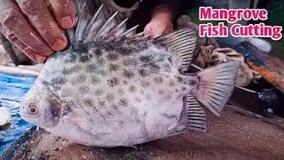 Amazing catfish cutting skill live in fish market today MunFish Cut  is live