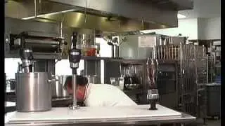 Waring Big Stix Immersion Blenders (Size Does Matter)