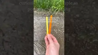 Kids Science DIY - Popsicle Stick Racing #diy #kidsactivities #kiwico
