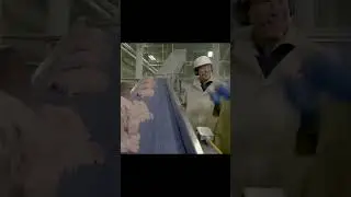 Chicken Nuggets Production Process in Factory - Secrets in Chicken Nuggets Processing Factory
