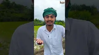 तेजस्वी का बड़ा फर्जीवाड़ा?#shorts lolitics by MVS Films