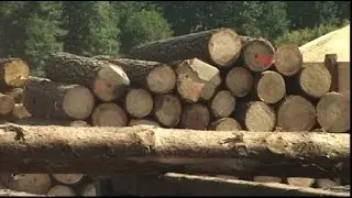 Las jak Las. Warmia i Mazury. Drewno- budulec, paliwo i źródło ciepła.