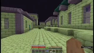 I Built a Village in the End in Superflat