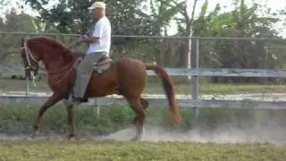 CIMG0021