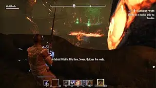 The Elder Scrolls Online: Tamriel Unlimited Frii awakens Urdiir the guardian