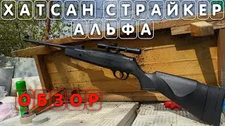Пневматическая винтовка Хатсан Страйкер Альфа ОБЗОР И ОТЗЫВ Hatsan Striker Alpha #hatsanalpha